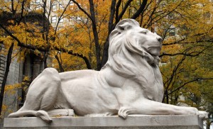 NYPL Lion