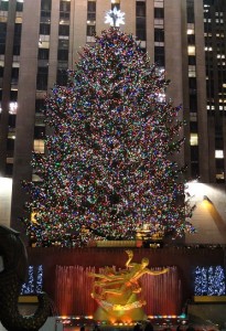 Rockefeller Center Tree 2 - smaller