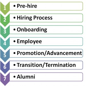 7 Phases of Engagement