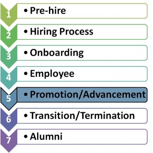 Promotion-Advancement Phase of Engagement