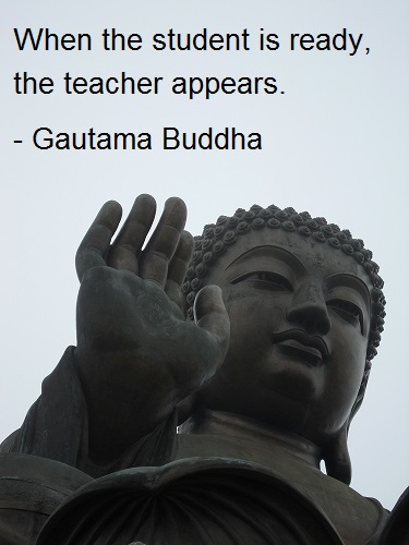  When the student is ready, the teacher appears. - Gautama Buddha 