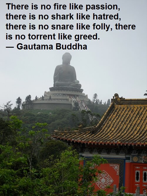 Gautama Buddha Quote: There is no fire like passion, there is no shark like hatred, there is no snare like folly, there is no torrent like greed. Employee Engagement