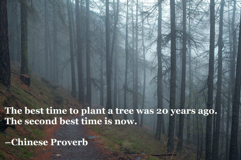 The best time to plant a tree was 20 years ago. The second best time is now. –Chinese Proverb