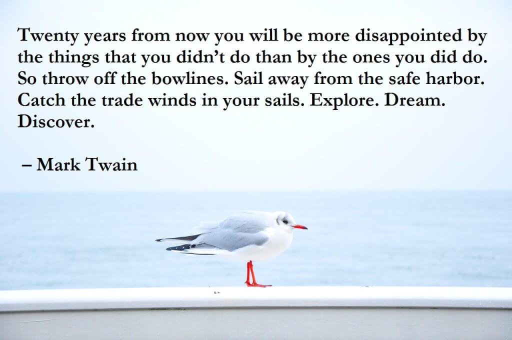Twenty years from now you will be more disappointed by the things that you didn’t do than by the ones you did do. So throw off the bowlines. Sail away from the safe harbor. Catch the trade winds in your sails. Explore. Dream. Discover.  – Mark Twain