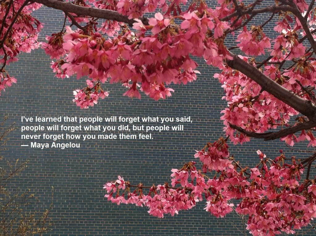 I’ve learned that people will forget what you said, people will forget what you did, but people will never forget how you made them feel.  — Maya Angelou