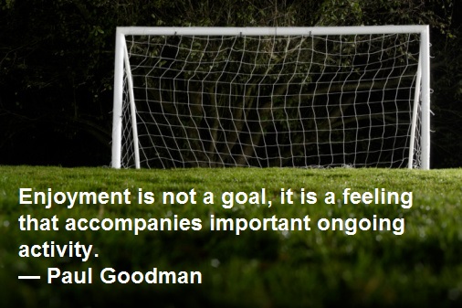 Enjoyment is not a goal, it is a feeling that accompanies important ongoing activity. — Paul Goodman