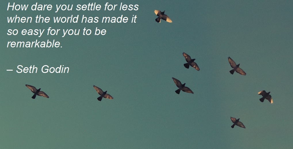 How dare you settle for less when the world has made it so easy for you to be remarkable. – Seth Godin