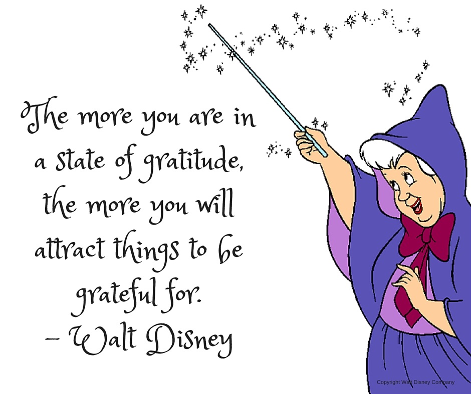 The more you are in a state of gratitude, the more you will attract things to be grateful for. – Walt Disney