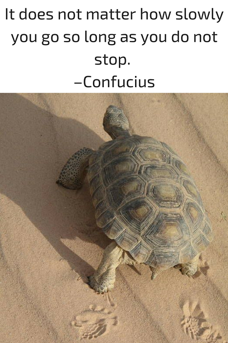 It does not matter how slowly you go so long as you do not stop. –Confucius