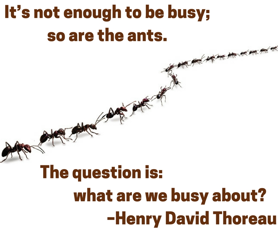 It’s not enough to be busy; so are the ants. The question is: what are we busy about? –Henry David Thoreau