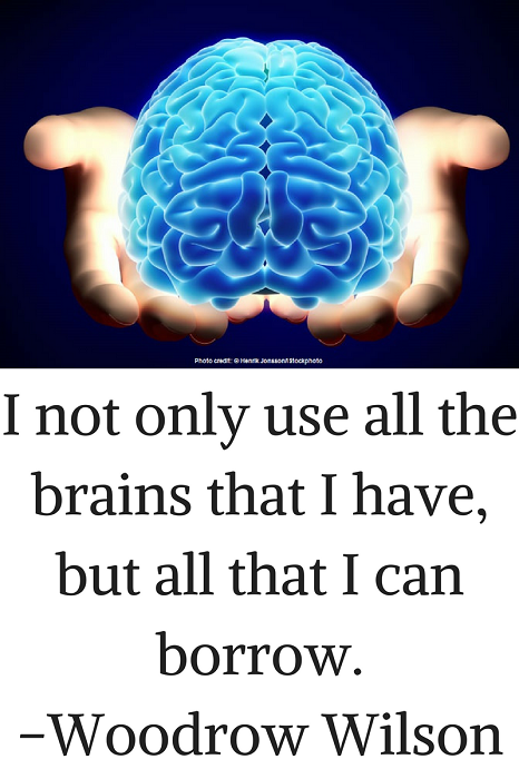 I not only use all the brains that I have, but all that I can borrow. –Woodrow Wilson