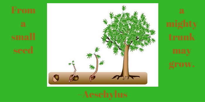 From a small seed a mighty trunk may grow. –Aeschylus