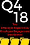 Q4 2018 Top Employee Experience - Employee Engagement Intelligence
